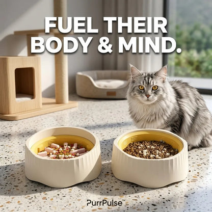 Cat sitting next to two food bowls with text 'Fuel their body & mind' and 'PurrPulse' branding.