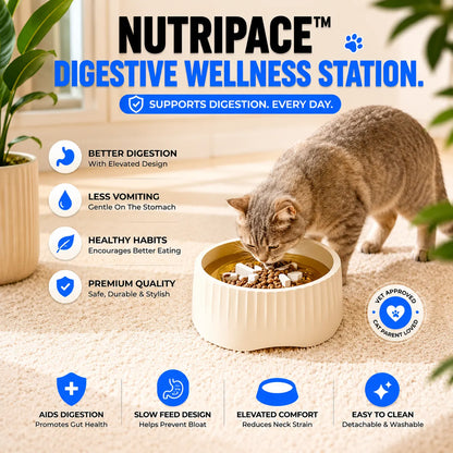 2_in_1_cat_slow_feeder_stainless_steel_8