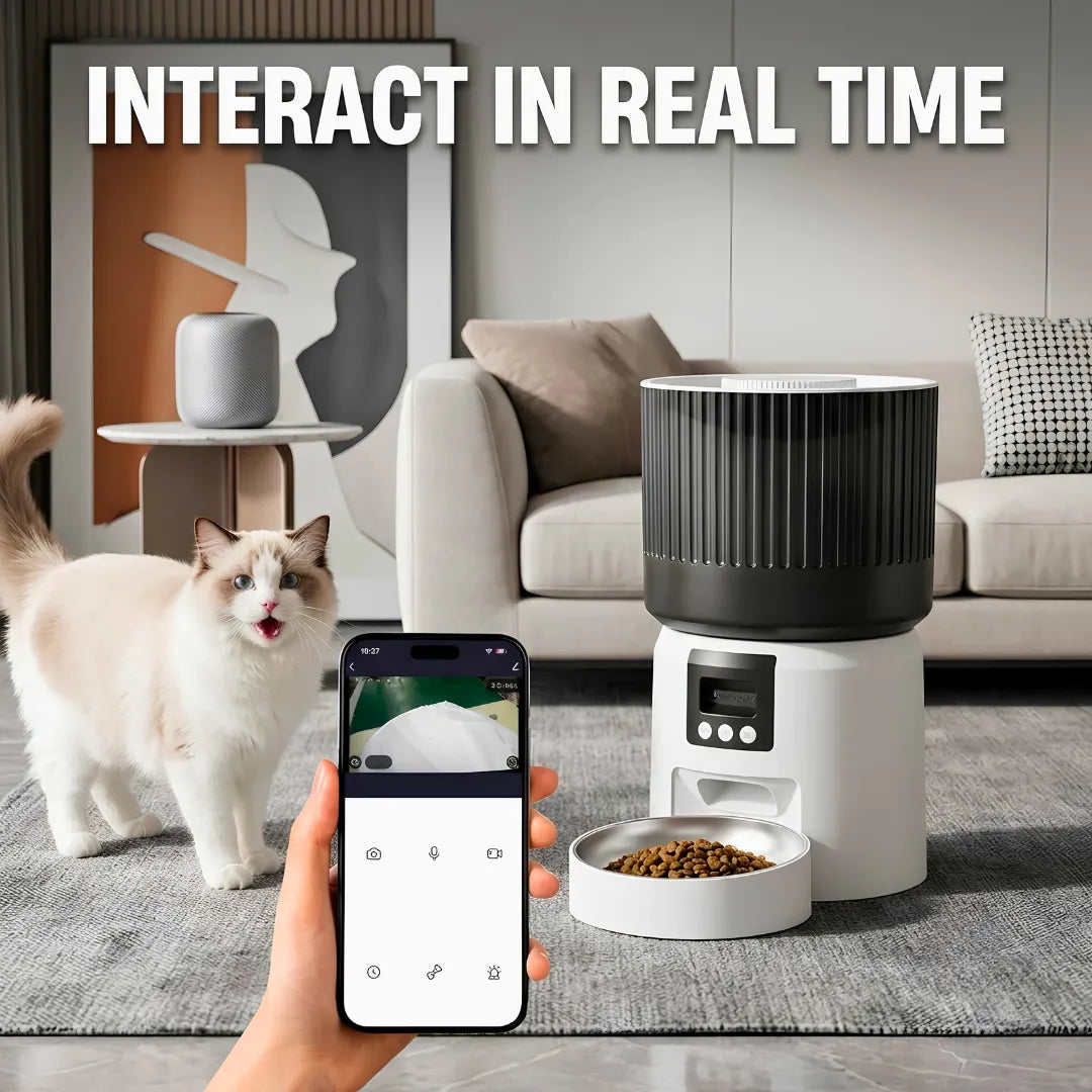 Smart pet feeder with a cat and a person using a phone in a living room setting.