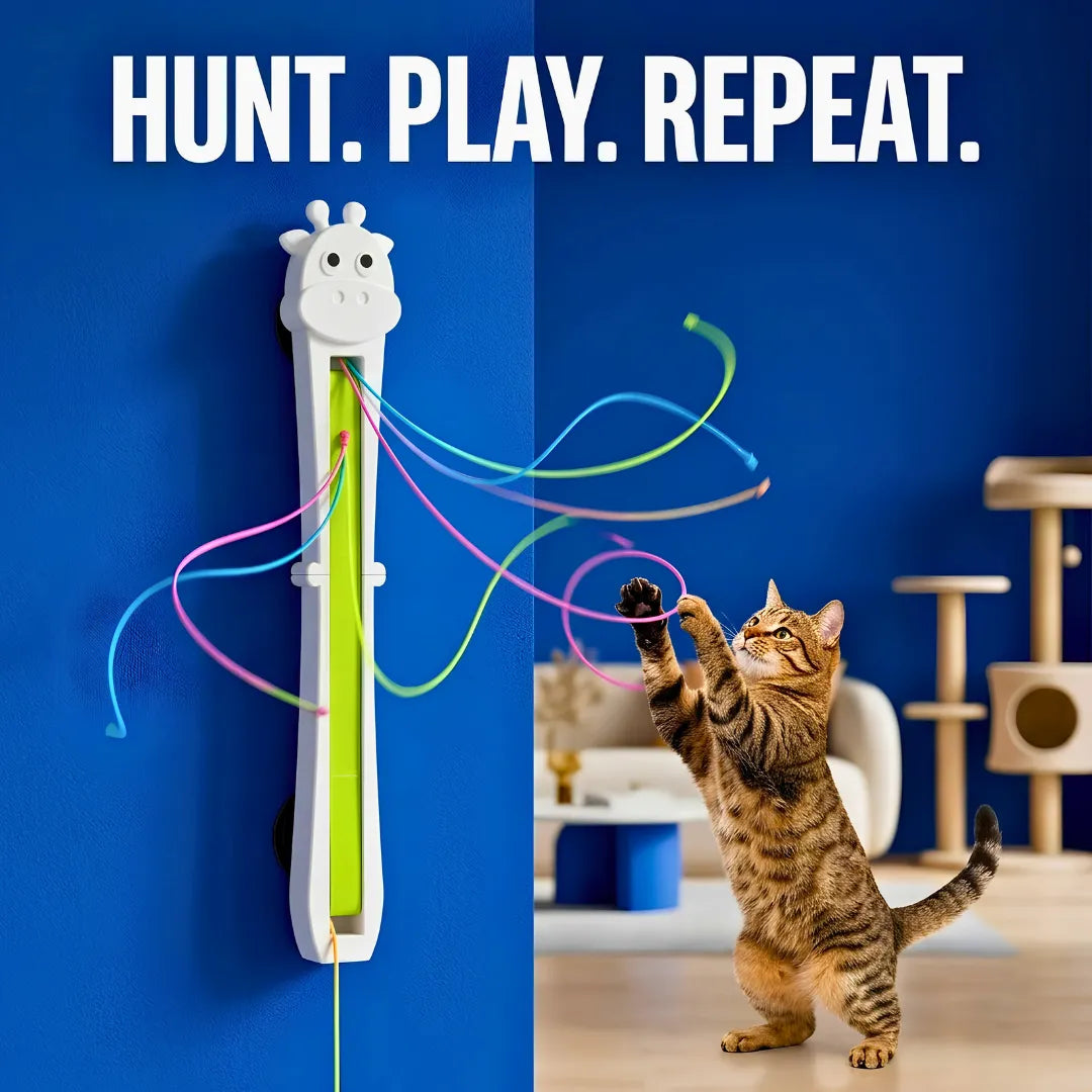 Cat playing with a toy that has colorful strings, with text 'HUNT. PLAY. REPEAT.' on a blue background.