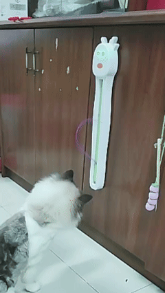 Automatic Moving Cat Toy