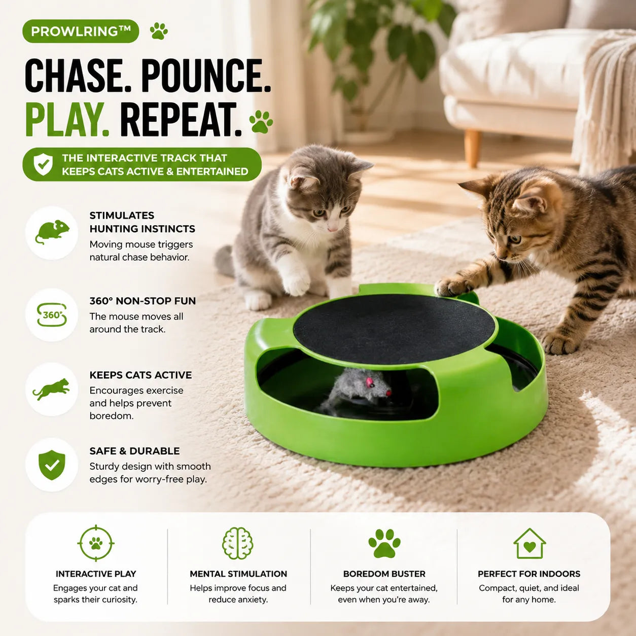 Green interactive cat track with two cats playing on a carpeted floor.