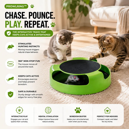 Green interactive cat track with two cats playing on a carpeted floor.