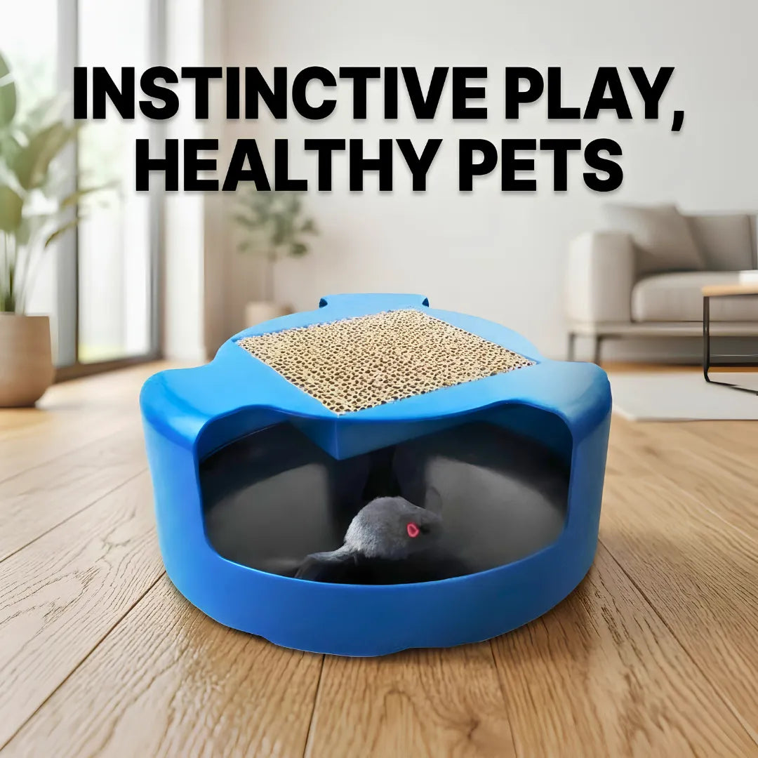 Blue pet playpen with a toy mouse on a wooden floor in a living room.
