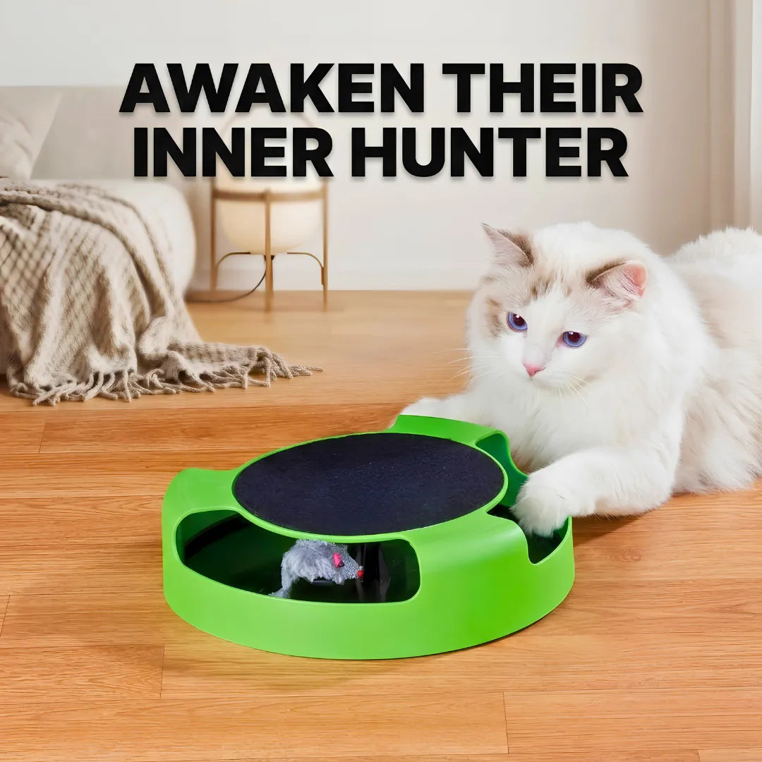 Cat playing with a green and black toy on a wooden floor, with text 'Awaken Their Inner Hunter' above.