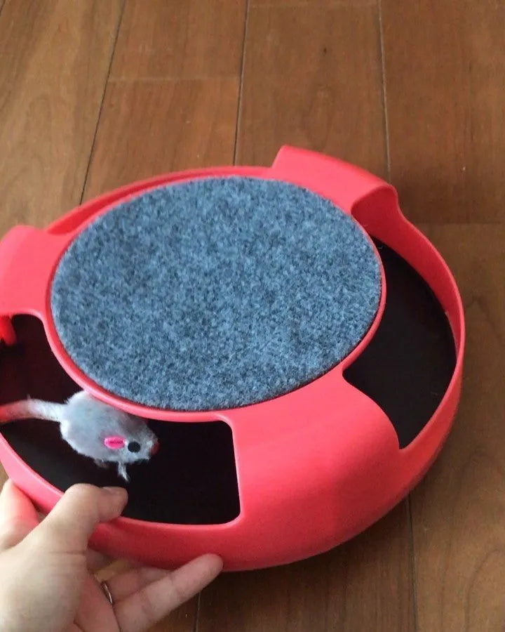 Red pet toy with a gray textured surface and a small gray mouse-like object on a wooden floor.