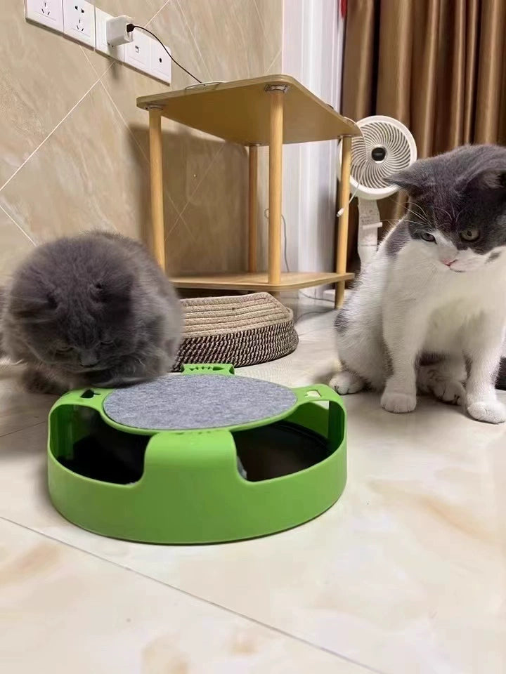 Two cats interacting with a green pet toy on a tiled floor.