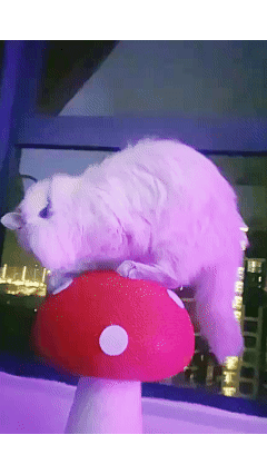 Cute_cottagecore_mushroom_pet_scratching_post