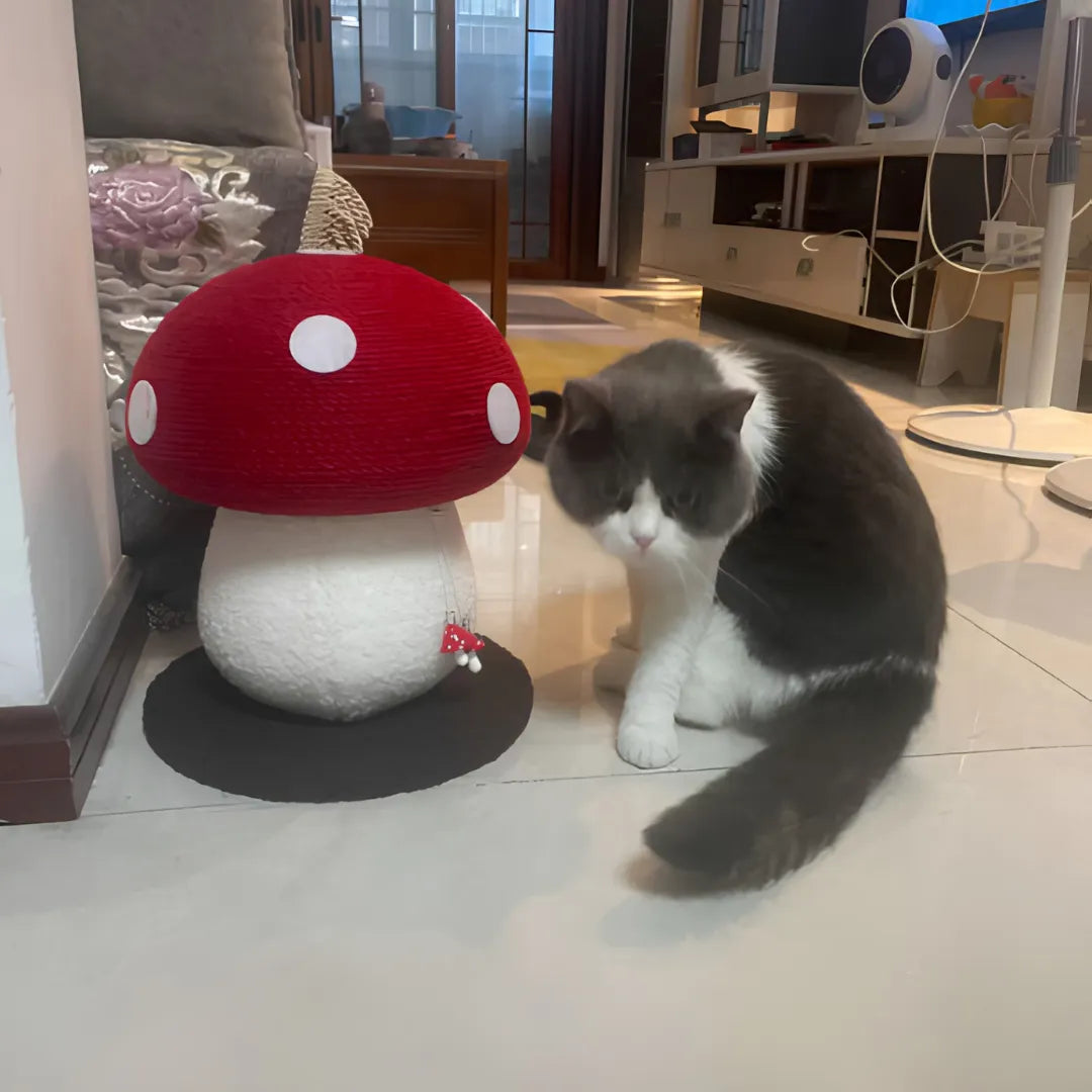 Felt_and_sisal_mushroom_cat_condo_tower_reviews_3