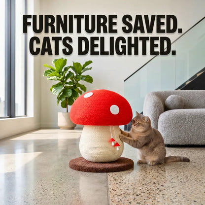Ideal For Medium And Small Cats
