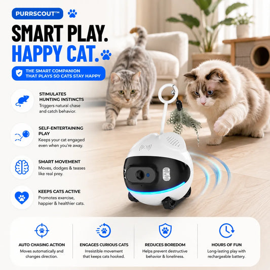 Cat toy with text highlighting features on a white background