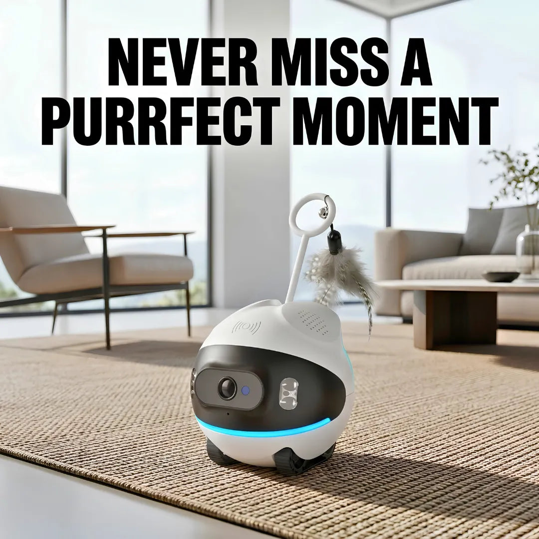 White pet camera with a fluffy toy on a living room floor, text 'Never Miss a Purrfect Moment'.