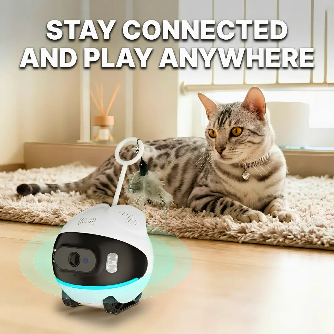 Cat playing with a robotic pet toy on a carpeted floor.