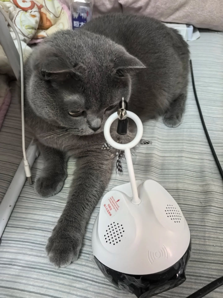 Gray cat interacting with a white electronic device on a bed