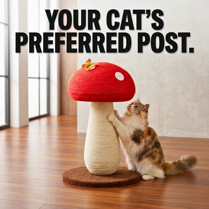 No Assembly Required Cat Stuff Cat Tree Tower Cat Toys