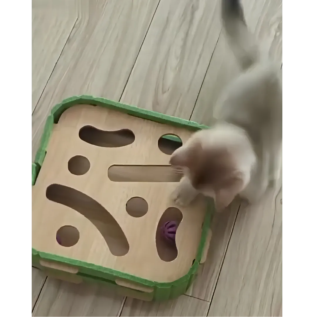 cat mental stimulation toy wood