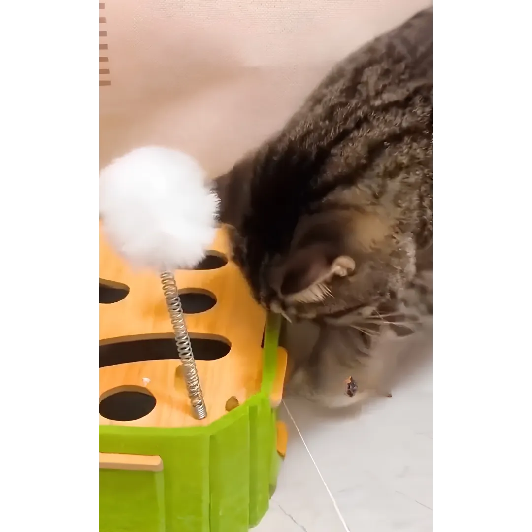 cat mental stimulation toy wood