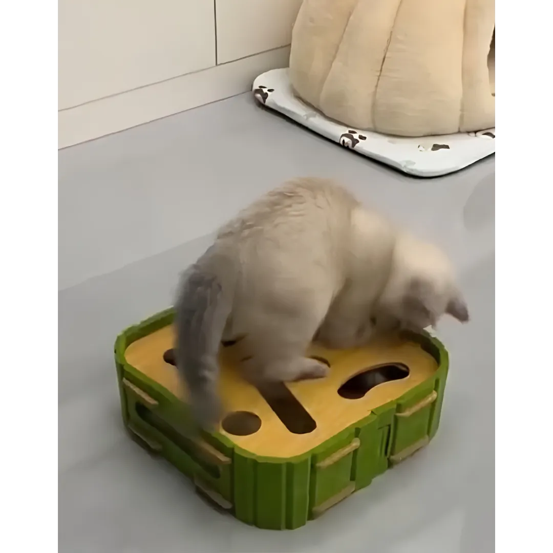cat mental stimulation toy wood