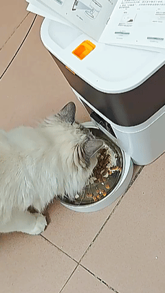 Smart_Pet_Feeder_5L