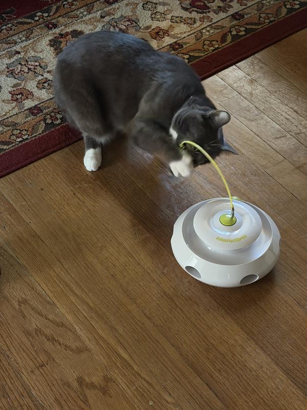 Rechargeable interactive cat UFO toy