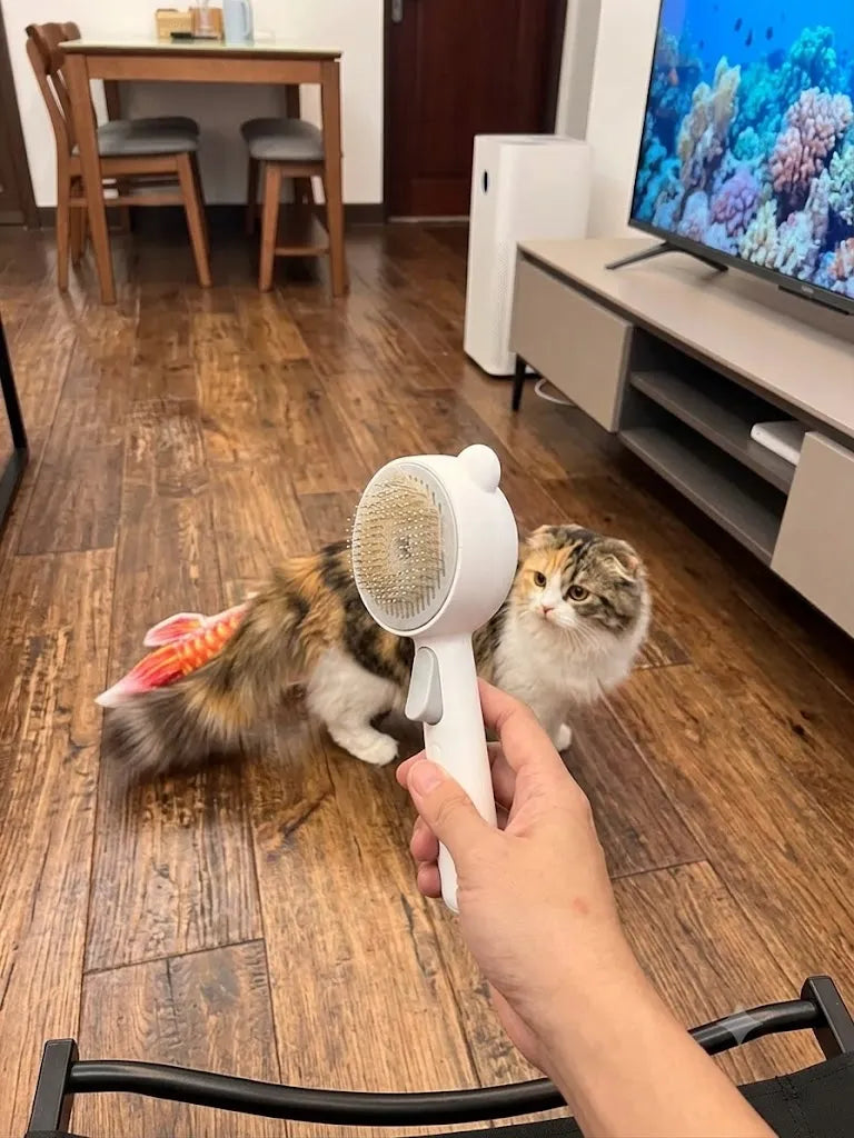 Person using a handheld pet dryer on a cat in a living room.