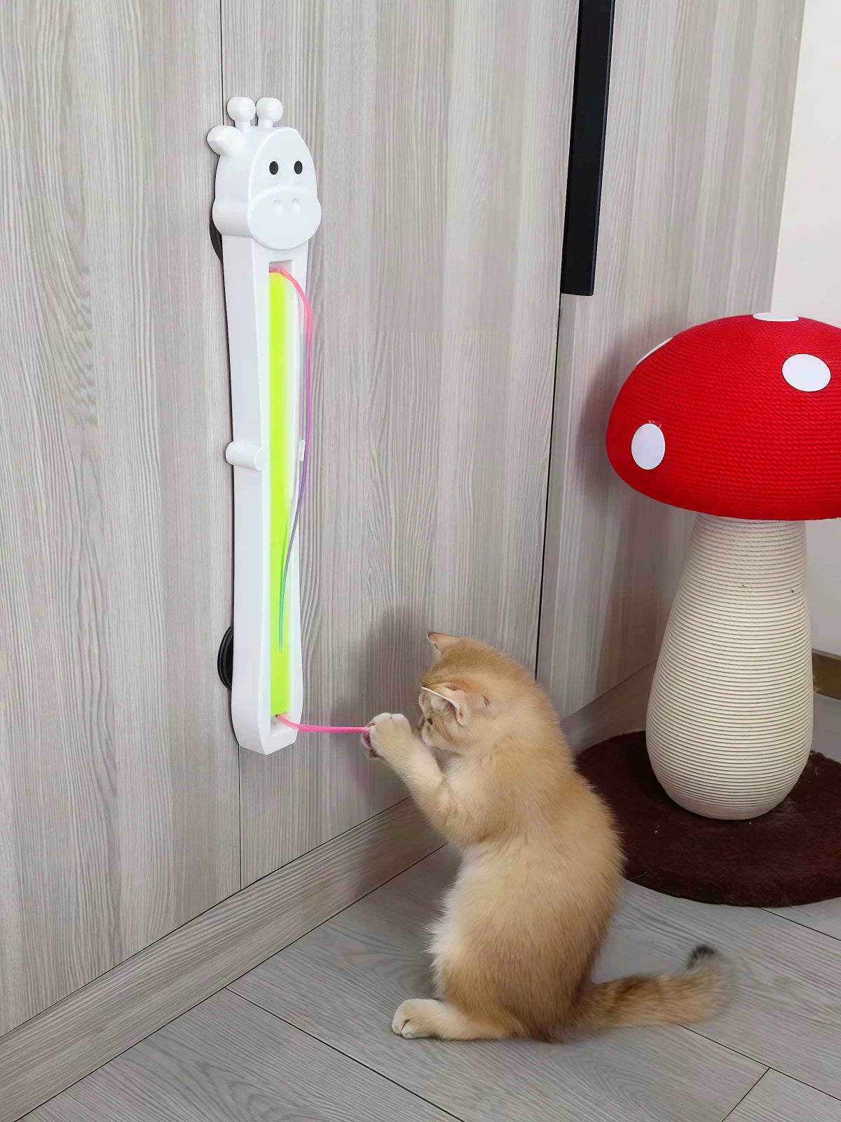 Cat playing with a colorful toy attached to a wall, with a cat tree in the background.