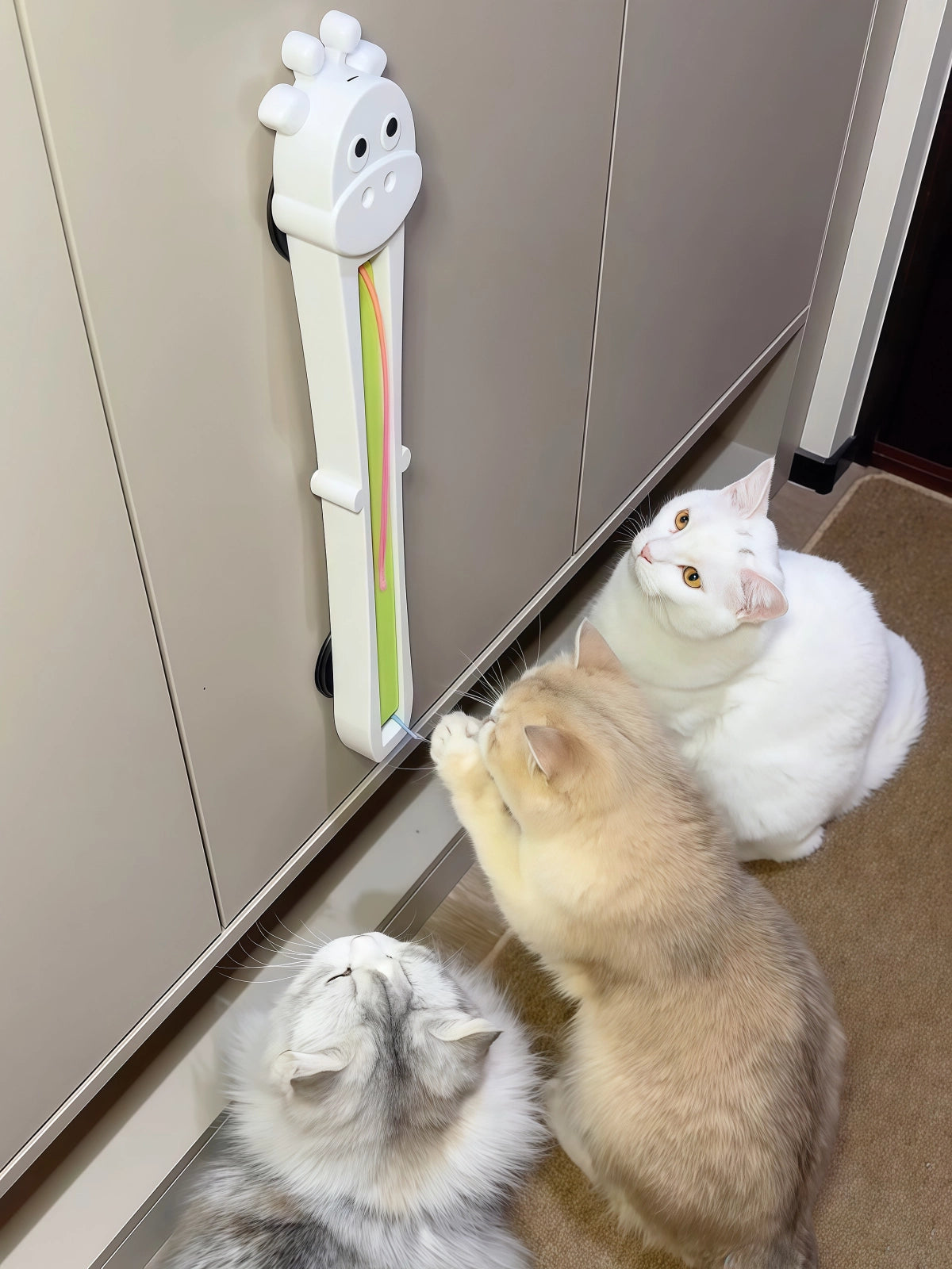 Two cats interacting with a toy attached to a mirror.
