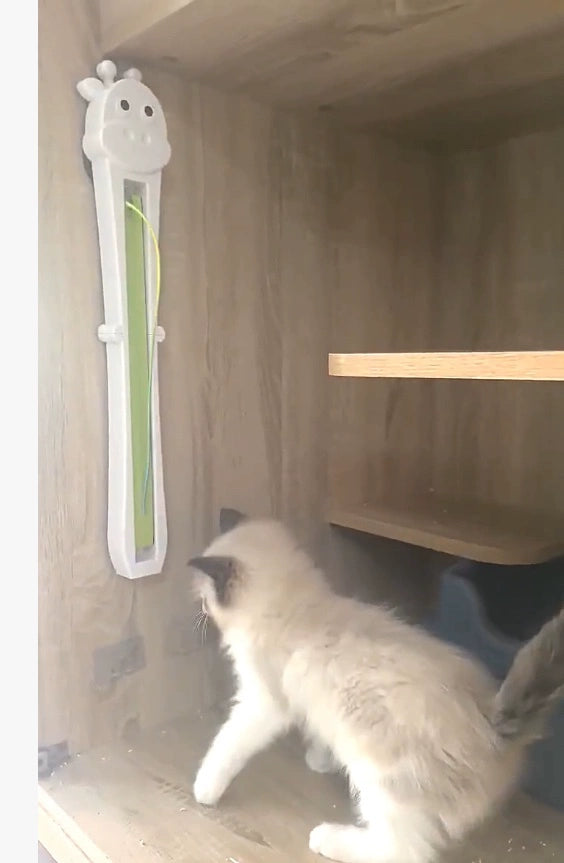 Cat interacting with a cat tree toy on a wooden shelf.