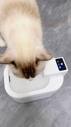 cordless_pet_fountain_water_electricity_separation