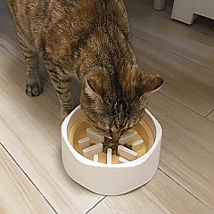 non slip double pet bowl food water
