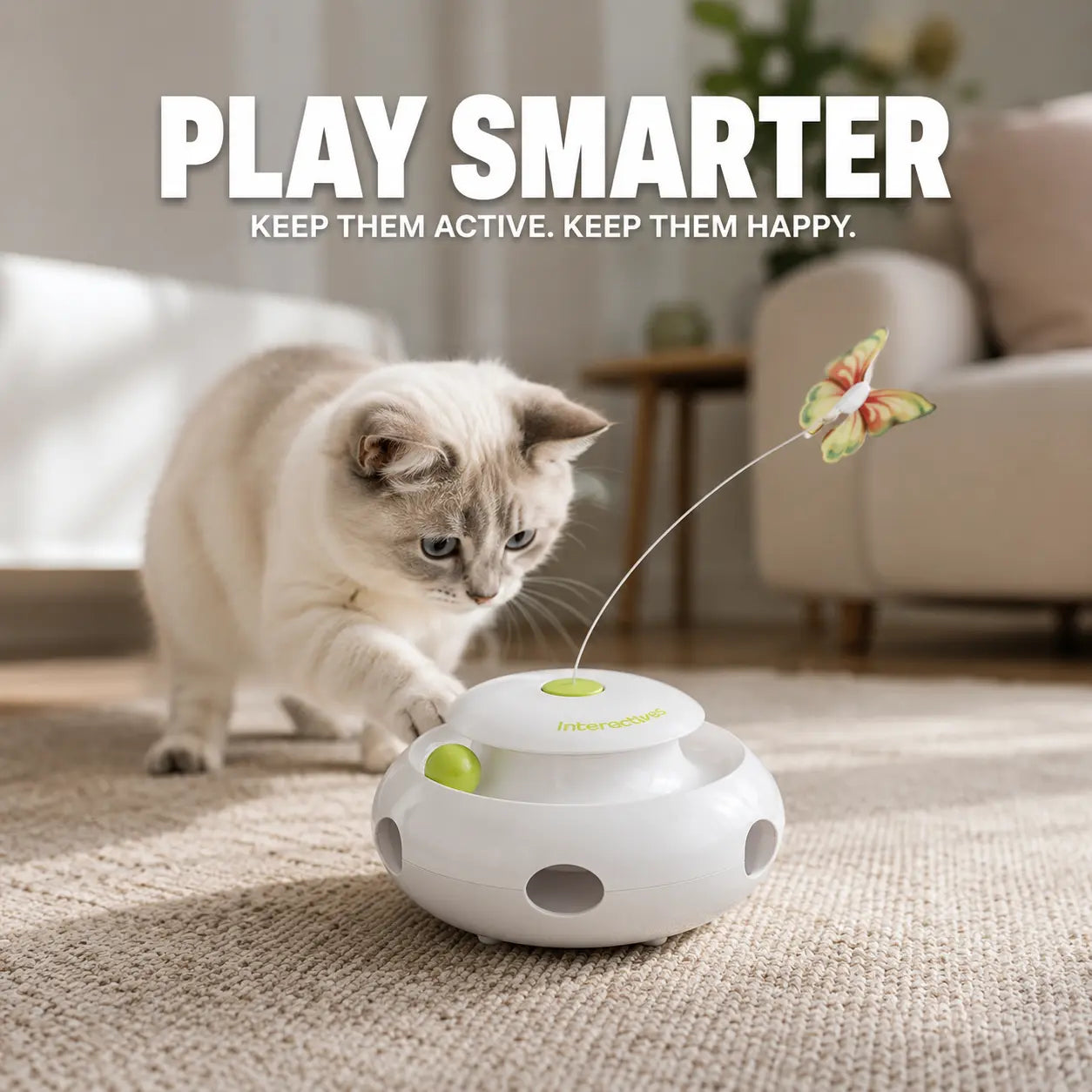 Fluffy white ragdoll cat pushing a green ball inside the track of the FutureFeline automated cat entertainment center.