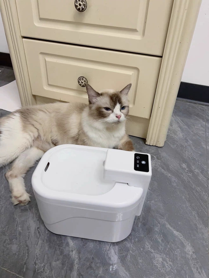 Cat sitting next to a white pet fountain on a gray floor.