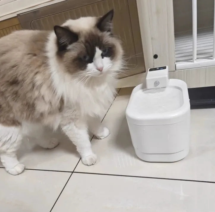 Cat standing next to a white pet water fountain on a tiled floor.