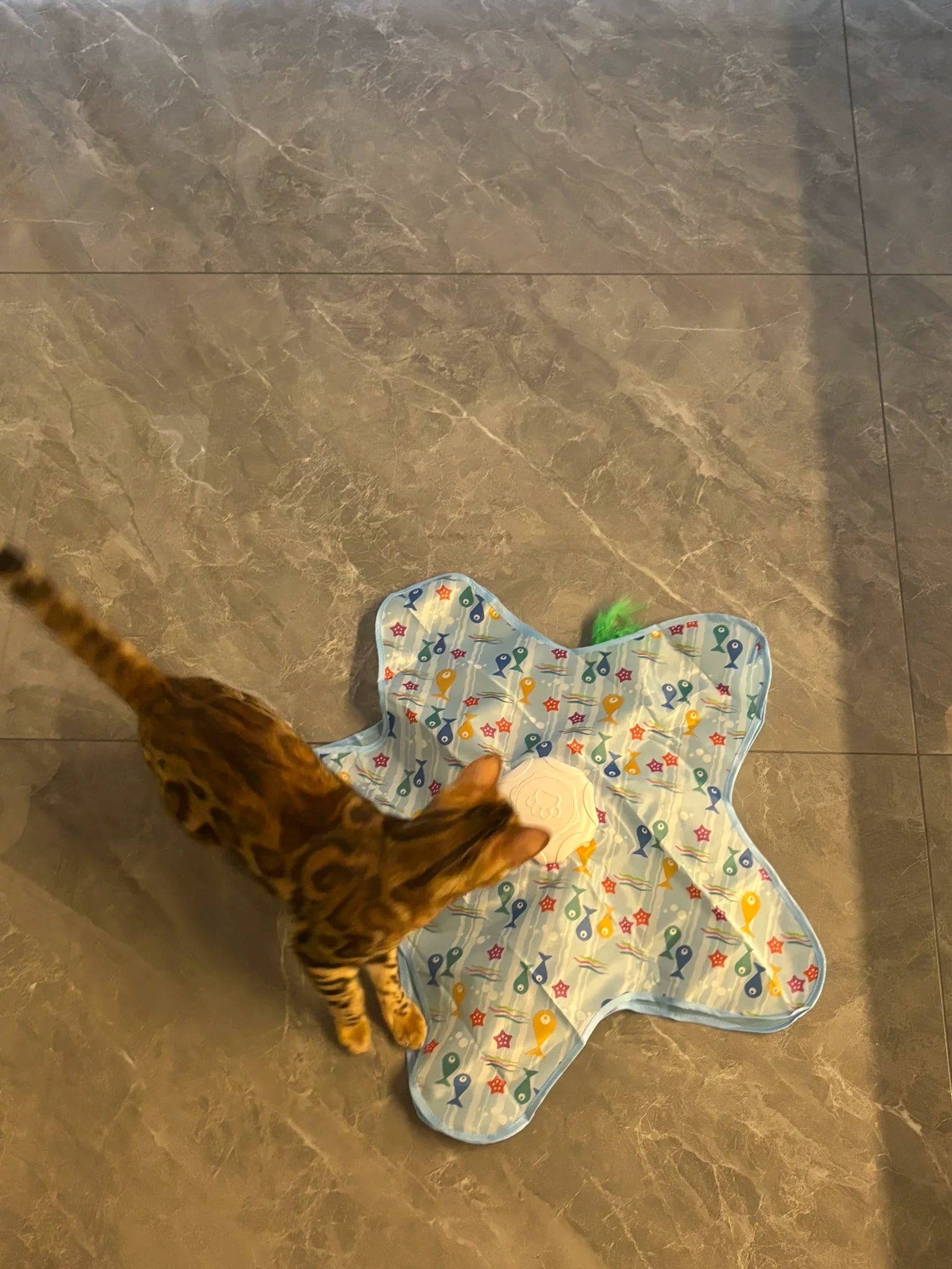 under fabric cat hunting toy